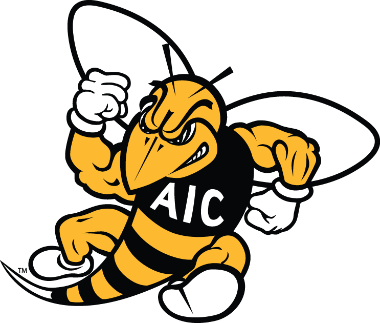 AIC Yellow Jackets 2009-Pres Secondary Logo diy fabric transfer